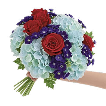 Serene Petal Harmony