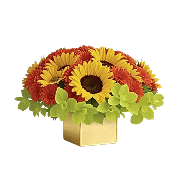 Radiant Bloom Cascade