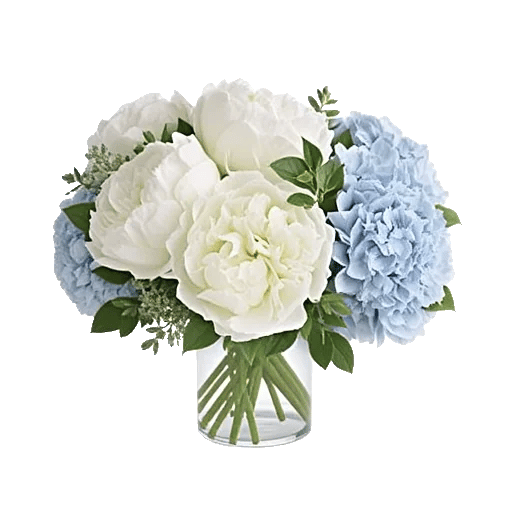 Blooming Serenity Display