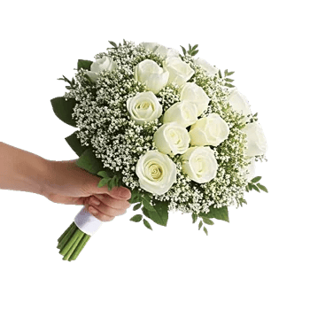 Delicate Petal Cascade