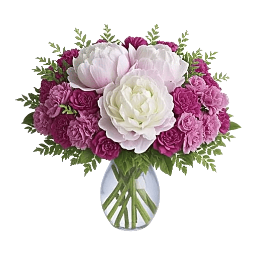 Petal Radiance Bliss