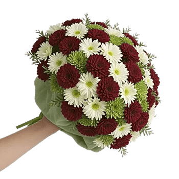 Delicate Petal Cascade