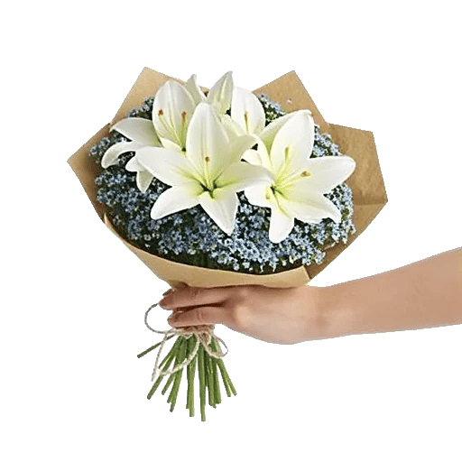 Graceful Lily Display