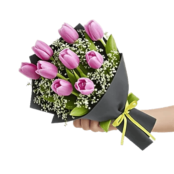 Velvet Tulip Display