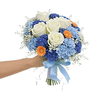 Serene Petal Harmony