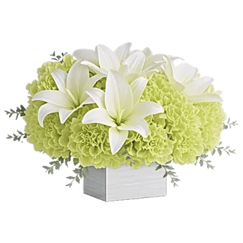 Graceful Lily Display