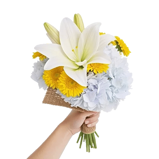 Ivory Blossom Radiance