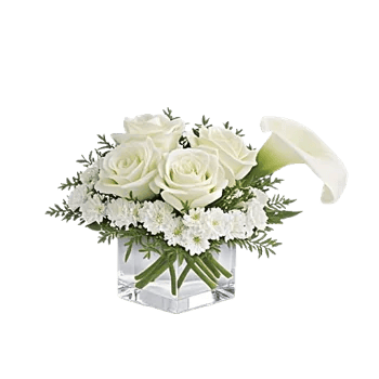 Delicate Petal Cascade