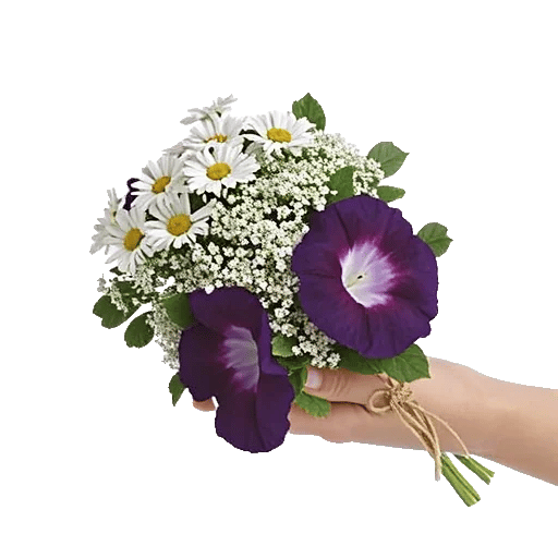 Dewy Morning Blossoms