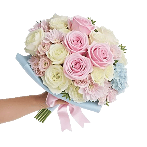 Pastel Pink Roses