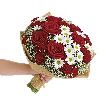 Crimson Rose Elegance