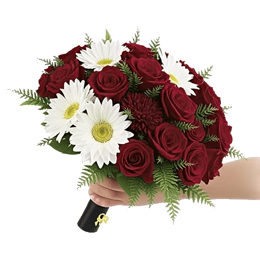 Blushing Rose Symphony