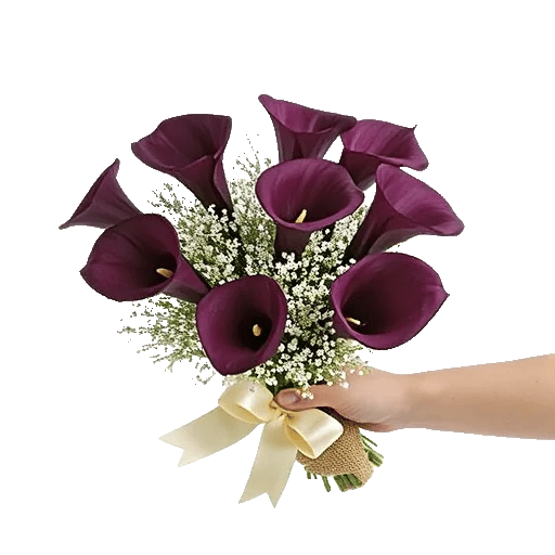 Elegant Calla Lilies