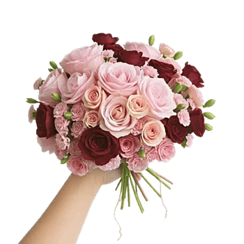 Soft Petal Embrace