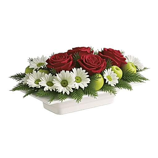 Crimson Rose Elegance