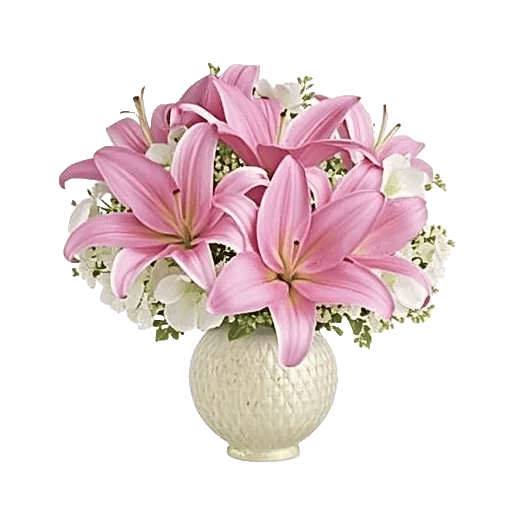 Graceful Lily Display