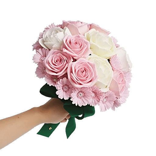 Pastel Pink Roses