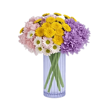 Petal Radiance Bliss