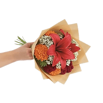 Petal Harmony Bliss