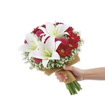 Blossom Petal Serenity