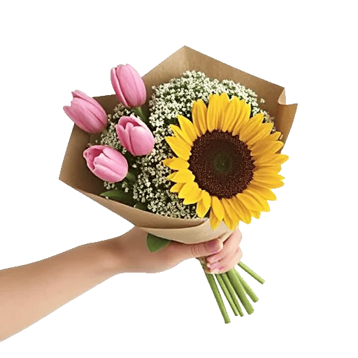 Blossom Harmony Display