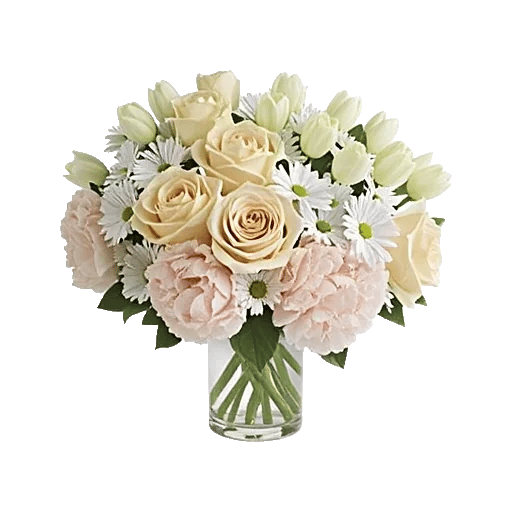 Ivory Blossom Radiance