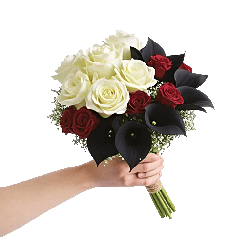 Elegant Calla Lilies