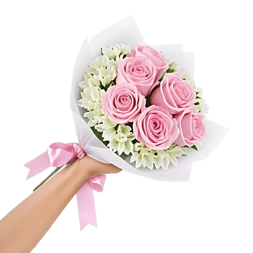Pastel Pink Roses