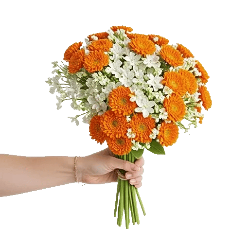 Blossom Harmony Display