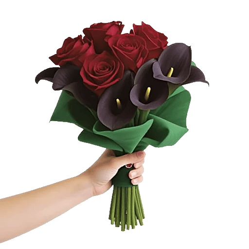 Crimson Rose Elegance