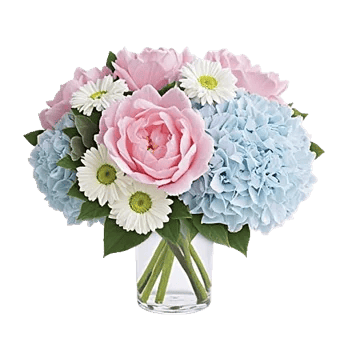 Petal Radiance Bliss