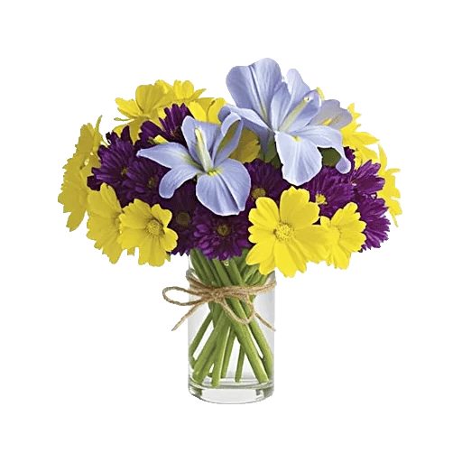 Ivory Blossom Radiance