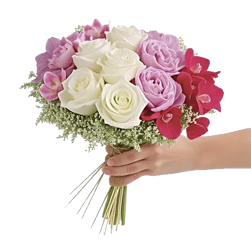 Petal Grace Harmony