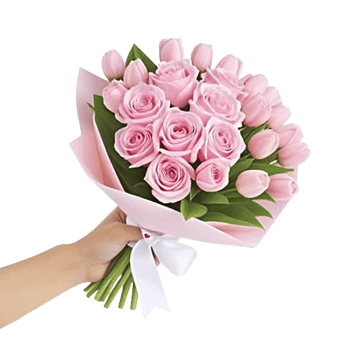 Pastel Pink Roses
