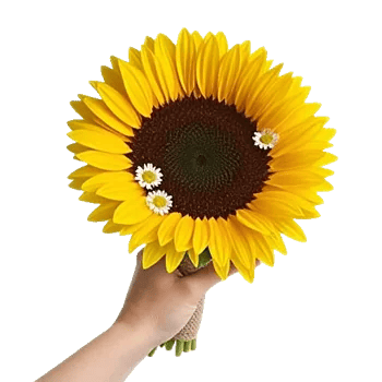 Golden Sunflower Bouquet