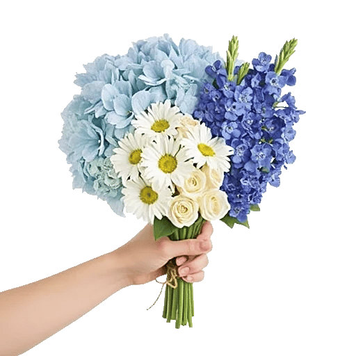 Sapphire Bloom Whisper