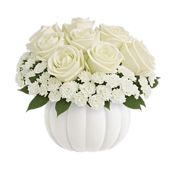 Modern White Orchids
