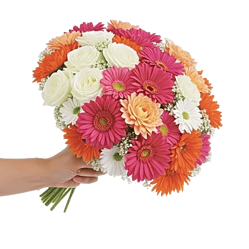 Delicate Petal Cascade