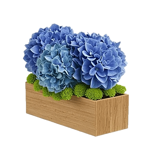 Sapphire Bloom Whisper