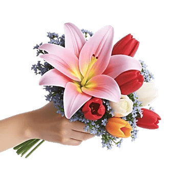 Blossom Harmony Display