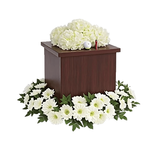 Modern White Orchids