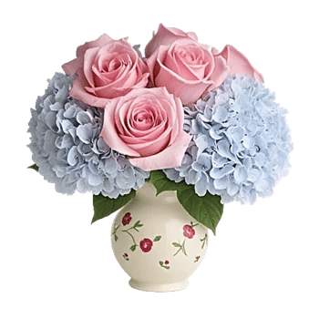 Pink Pastel Roses