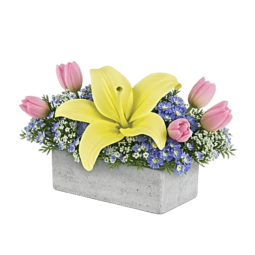 Graceful Lily Display