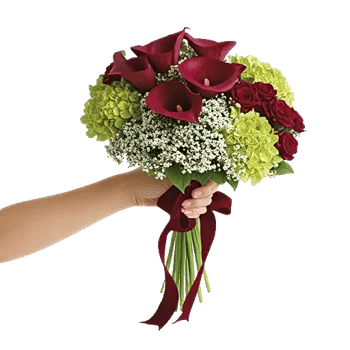 Elegant Calla Lilies