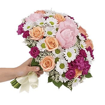 Peony Petal Harmony