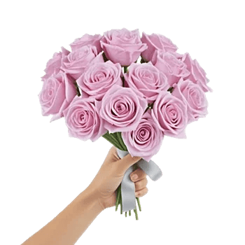 Pastel Pink Roses