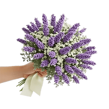 Lavender Bloom Grace
