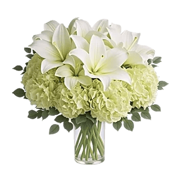 Ivory Blossom Radiance