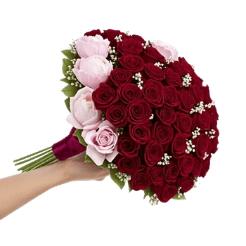 Crimson Rose Elegance