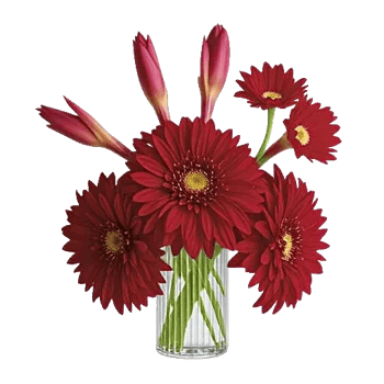 Crimson Blossom Harmony